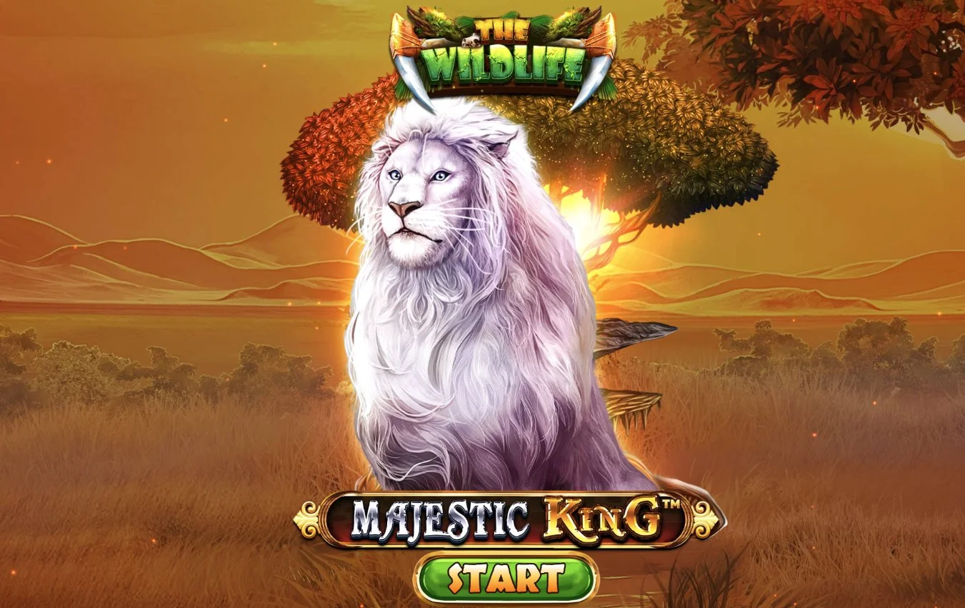 Majestic King splash screen with white lion on African savannah at sunset
